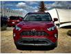 2024 Toyota RAV4 XLE (Stk: 250070LA) in Calgary - Image 6 of 23