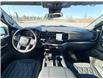 2025 GMC Sierra 1500 Elevation (Stk: 113809) in Carleton Place - Image 24 of 34
