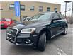 2015 Audi Q5 2.0T Progressiv (Stk: 250452) in Ottawa - Image 3 of 30