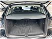 2015 Audi Q5 2.0T Progressiv (Stk: 250452) in Ottawa - Image 27 of 30