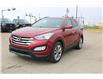 2014 Hyundai Santa Fe Sport  (Stk: 0P3545A) in Medicine Hat - Image 1 of 25
