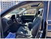 2023 Honda CR-V EX-L (Stk: 252766P) in Richmond Hill - Image 6 of 26