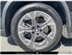 2023 BMW X1 xDrive28i (Stk: 911310) in Victoria - Image 6 of 25