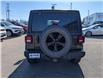 2023 Jeep Wrangler Sport (Stk: 04364-OC) in Orangeville - Image 4 of 21