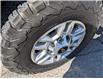 2023 Chevrolet Silverado 2500HD LT (Stk: B12462) in Orangeville - Image 9 of 19