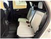 2025 Ford Escape Platinum (Stk: NB14739) in Shellbrook - Image 20 of 23