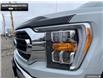 2023 Ford F-150 XLT (Stk: 5F28457A) in Brantford - Image 7 of 23