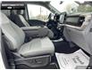 2023 Ford F-150 XLT (Stk: 5F28457A) in Brantford - Image 20 of 23