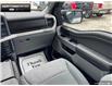 2023 Ford F-150 XLT (Stk: 5F28457A) in Brantford - Image 23 of 23