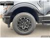 2025 Ford F-150 XLT (Stk: 5F182019) in Brantford - Image 6 of 23