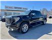 2024 GMC Sierra 1500 Denali (Stk: G370285T) in WHITBY - Image 1 of 50