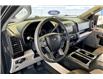 2019 Ford F-150 XL (Stk: 25F14145A) in Vancouver - Image 14 of 36