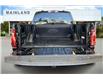 2024 Ford F-150 STX (Stk: P20050) in Vancouver - Image 18 of 36