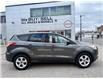 2016 Ford Escape SE (Stk: HPU0221A) in Toronto - Image 4 of 19