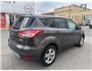 2016 Ford Escape SE (Stk: HPU0221A) in Toronto - Image 5 of 19