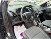 2016 Ford Escape SE (Stk: HPU0221A) in Toronto - Image 10 of 19