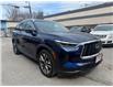 2024 Infiniti QX60 Luxe (Stk: HPU0235) in Toronto - Image 3 of 20