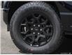 2025 Ford F-150 XLT (Stk: S-1008) in Calgary - Image 7 of 24