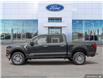 2025 Ford F-150 XLT (Stk: S-1397) in Calgary - Image 3 of 20