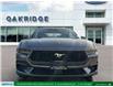 2025 Ford Mustang EcoBoost (Stk: C54192) in London - Image 2 of 23