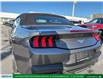 2025 Ford Mustang EcoBoost (Stk: C54192) in London - Image 11 of 23