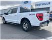 2021 Ford F-150 XLT (Stk: C25126A) in High River - Image 3 of 20