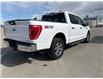 2021 Ford F-150 XLT (Stk: C25126A) in High River - Image 5 of 20