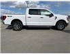 2021 Ford F-150 XLT (Stk: C25126A) in High River - Image 6 of 20