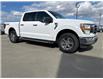 2021 Ford F-150 XLT (Stk: C25126A) in High River - Image 7 of 20
