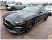 2019 Ford Mustang GT Premium (Stk: 24395) in Pembroke - Image 1 of 2
