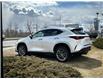 2022 Lexus NX 350h Base (Stk: 250675A) in Calgary - Image 4 of 23