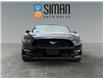 2016 Ford Mustang GT Premium (Stk: P3104) in Regina - Image 8 of 19