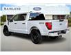 2025 Ford F-150 STX (Stk: 25F16723) in Vancouver - Image 3 of 14