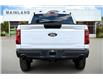 2025 Ford F-150 STX (Stk: 25F10350) in Vancouver - Image 4 of 14