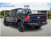 2025 Ford F-150 XLT (Stk: 25F14667) in Vancouver - Image 3 of 14