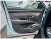 2023 Hyundai Santa Cruz Trend (Stk: 250440) in Ottawa - Image 17 of 21