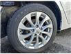 2019 Nissan Sentra 1.8 SV (Stk: 324995) in Langley BC - Image 6 of 25