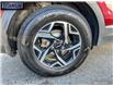 2023 Kia Sportage LX (Stk: 169927) in Langley BC - Image 6 of 25