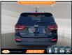 2020 Kia Sorento 2.4L LX (Stk: 685260) in Lower Sackville - Image 6 of 23