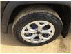 2025 Jeep Compass Sport (Stk: FF031) in Swan River - Image 15 of 19