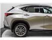 2025 Lexus NX 350h Base (Stk: 052063) in Brampton - Image 5 of 26