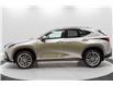 2025 Lexus NX 350h Base (Stk: 052063) in Brampton - Image 13 of 26