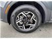 2024 Kia Sportage LX (Stk: H25-0048P) in Chilliwack - Image 8 of 19