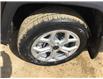 2025 Jeep Compass North (Stk: FF009) in Swan River - Image 17 of 19