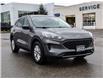 2022 Ford Escape SE (Stk: VF00295R) in Chatham - Image 7 of 29