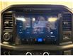 2025 Ford F-150 Tremor (Stk: NA53939) in Shellbrook - Image 16 of 23