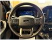 2025 Ford F-150 Tremor (Stk: NA53939) in Shellbrook - Image 12 of 23