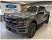 2025 Ford F-150 Tremor (Stk: NA53939) in Shellbrook - Image 1 of 23