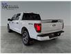 2024 Ford F-150 STX (Stk: R9643) in ROSETOWN - Image 5 of 17