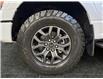2025 Ford F-150 Tremor (Stk: S9639) in ROSETOWN - Image 17 of 17
